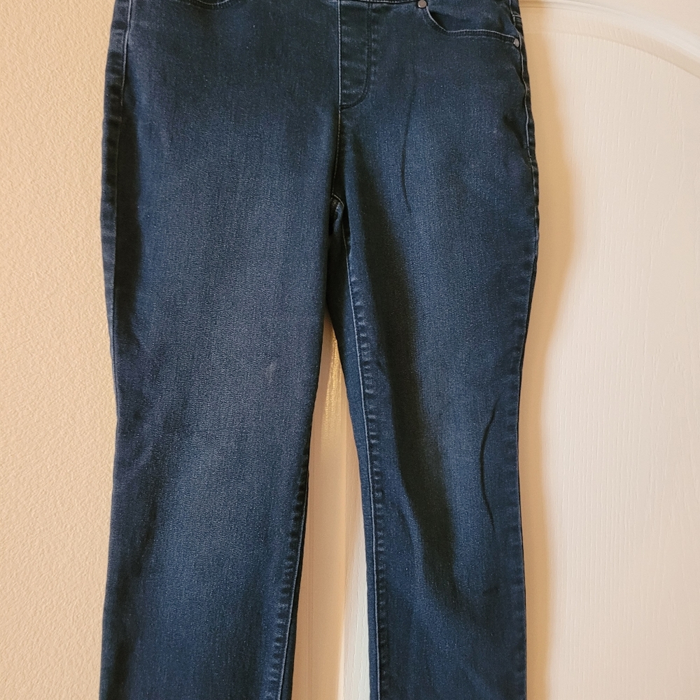 Gloria Vanberbilt All Around Slimming jean pull-on  Good condition